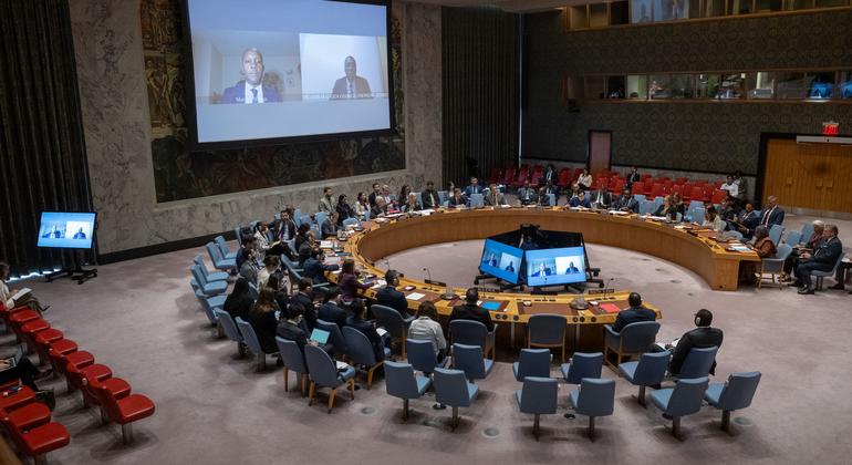 منظر واسع لقاعة مجلس الأمن التابع للأمم المتحدة أثناء اجتماع الأعضاء بشأن السودان وجنوب السودان.